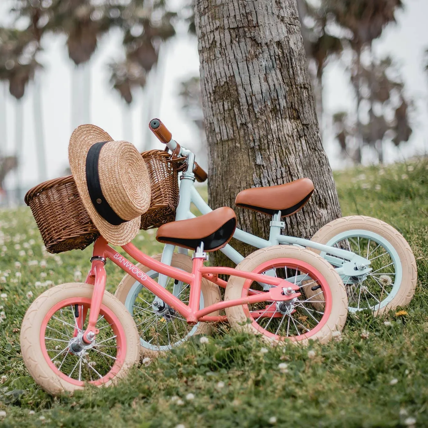 Banwood First Go Balance Bike - Sky