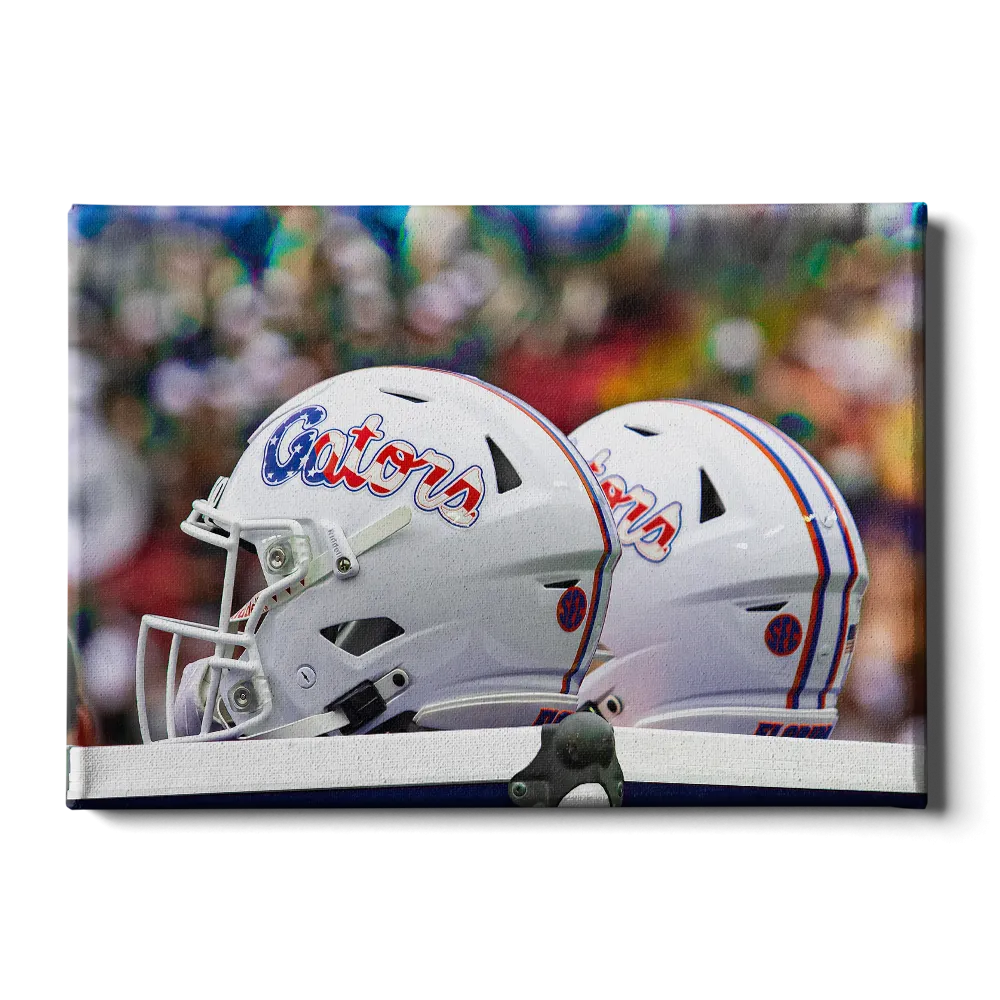 Florida Gators - USA Helmets